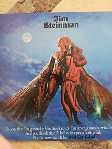 Jim Steinman LP (Irish) - Bad For Good