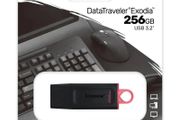 Kingston USB 3.2 Gen Flash Drive 256GB Black &amp; Pink