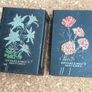 Pair of Antique Bryant May Match Box Covers/Holders Image 6