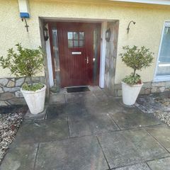 Pair of Globe bay Laurels
