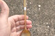 1937 Horn and Sterling Silver Spoon