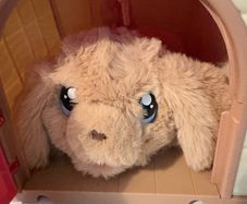 kids toy dog