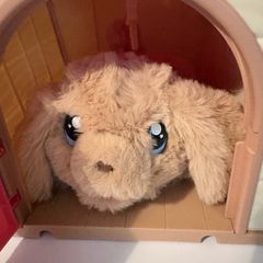 kids toy dog