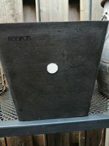 New wall hanging Ecco pot