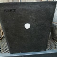 New wall hanging Ecco pot