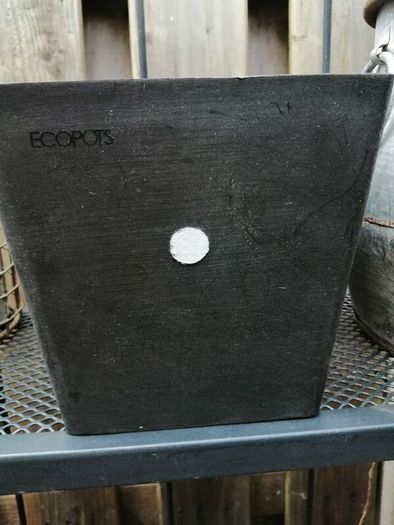 New wall hanging Ecco pot