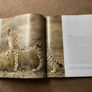 The Hunt Image 3