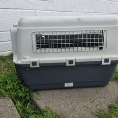pet carrier