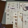 Entemology cards Image 2