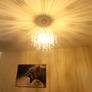 Ceiling Light Shade Image 2