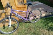 adults mountain bike