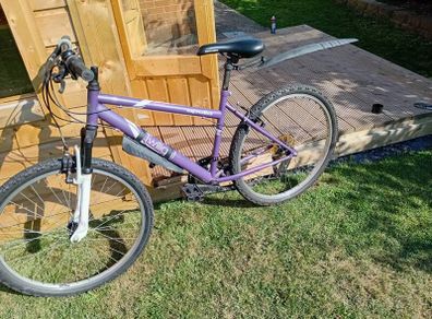 adults mountain bike