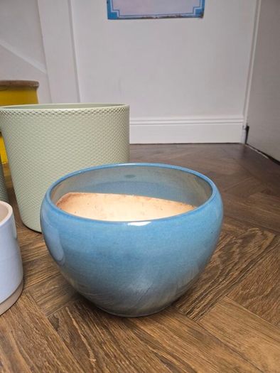 Selection of Plant Pots