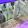 Fish tank Image 7