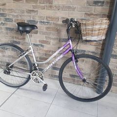 ladies bike