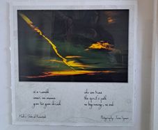 Collectors photography art