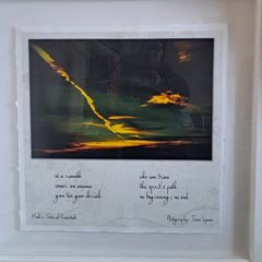 Collectors photography art