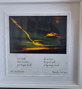 Collectors photography art