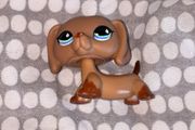 littlest pet shop (LPS) Dachshund #518 Authentic!!