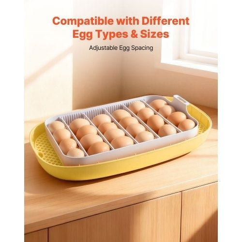 24 Egg Incubator, Automatic Egg Turner with LED Candler, Temperature  Humidity Control, 360 View Clear Window, Auto Water Refill, Poultry Eggs Incubators for Hatching Chicks Ducks Goose Quail