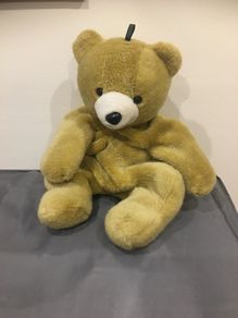 Teddy nitghtdress/pj case.