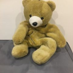 Teddy nitghtdress/pj case.