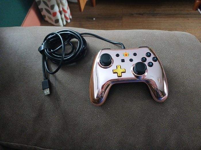 Wired Nintendo Switch Controller