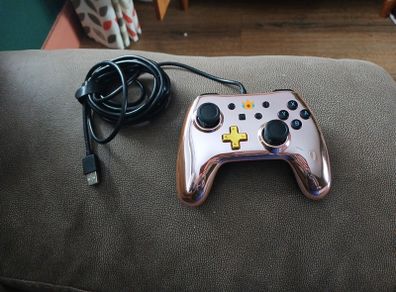 Wired Nintendo Switch Controller