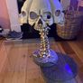 Skull lamp with spine . Image 3
