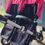 Double buggy Image 2