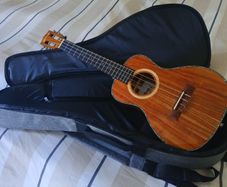 Uma Tenor Ukulele