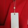 Coast occasion jumpsuit brand new with tags Image 7