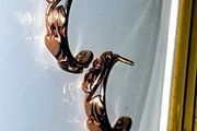Vintage Hallmarked 9ct Gold Harrods Hoop Earrings