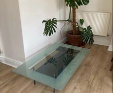 Linge Roset Glass Coffee Table