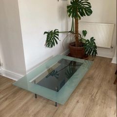 Linge Roset Glass Coffee Table