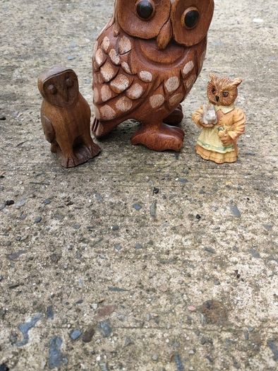Hardwood carved Tawny owls