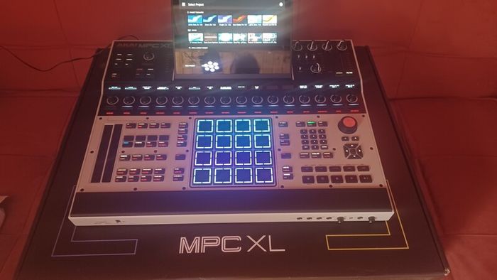 MPC XL 6 weeks old