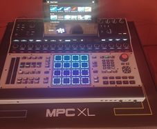 MPC XL 6 weeks old