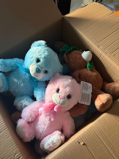 Teddys toys