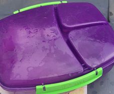 kids lunch box
