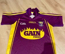 Wexford Jersey GAA