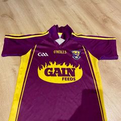 Wexford Jersey GAA