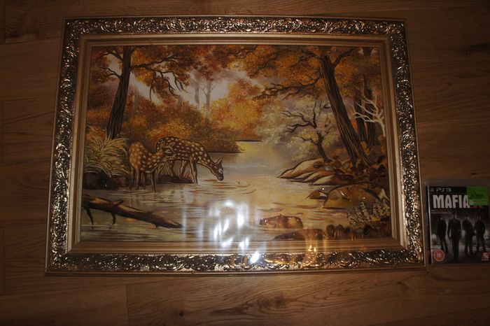 large real amber pictures