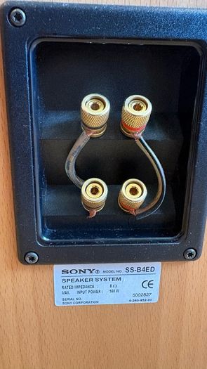 Sony Floor Standing