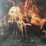 KEN Mode - Venerable (Limited Edition) Image 9