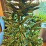 6ft Slim Christmas Tree Image 3