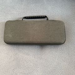 Rog Ally case