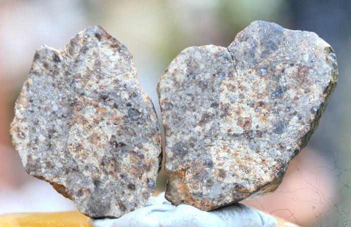Meteorite 14.35 grams NWA 869 cut in 2