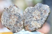 Meteorite 14.35 grams NWA 869 cut in 2