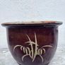 Wide garden pot Image 5